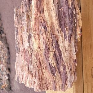 19lbs 8.0oz Az rainbow Agatized tree branch chunk petrified wood